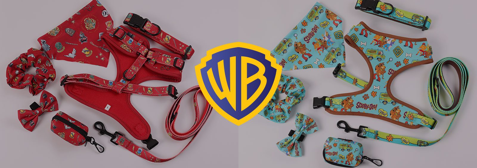 Warner-Brothers-Banner